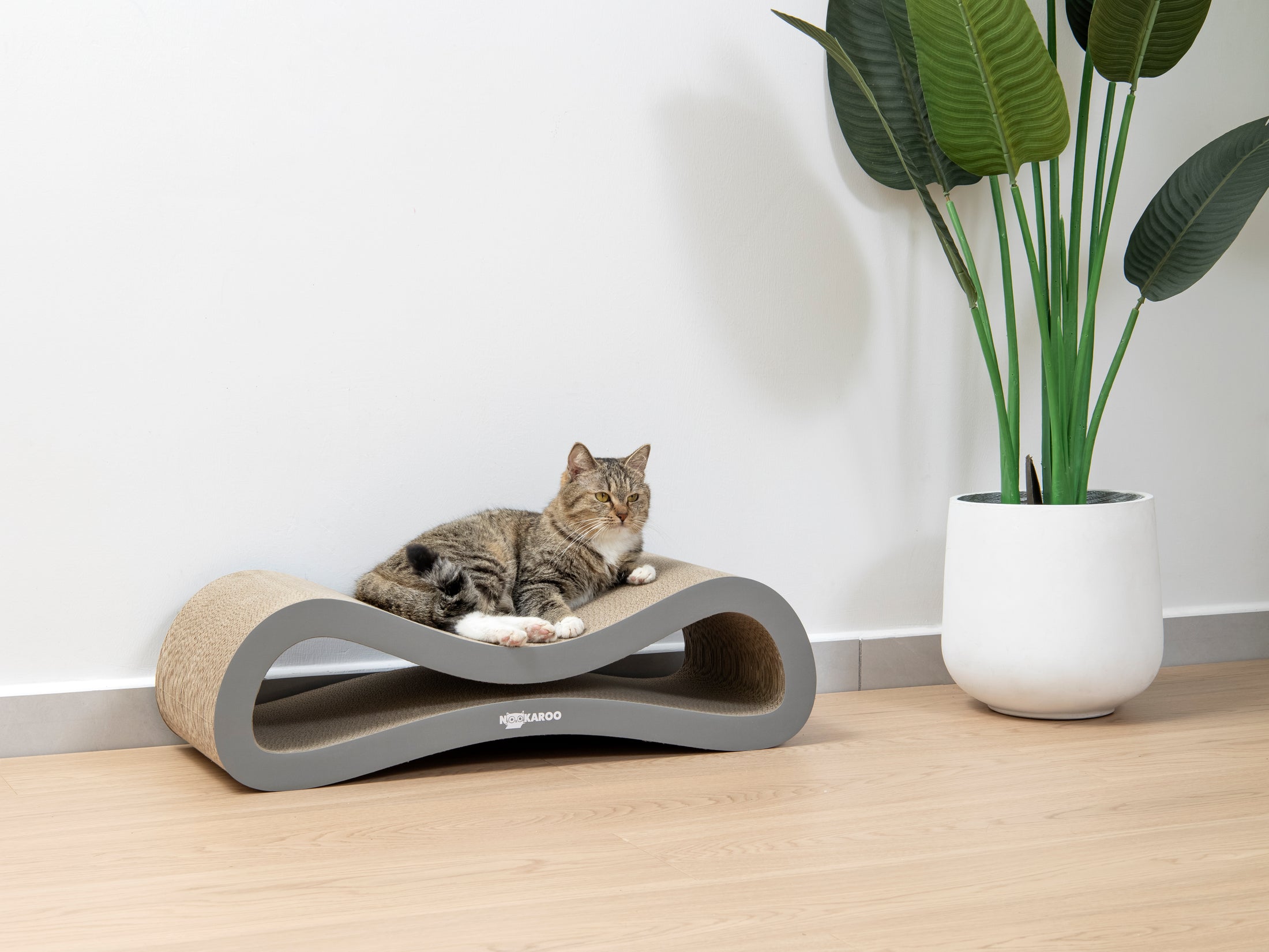 AGATHA – INFINITY LOUNGE SCRATCHER