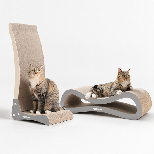 The Modern Cat Starter Set
